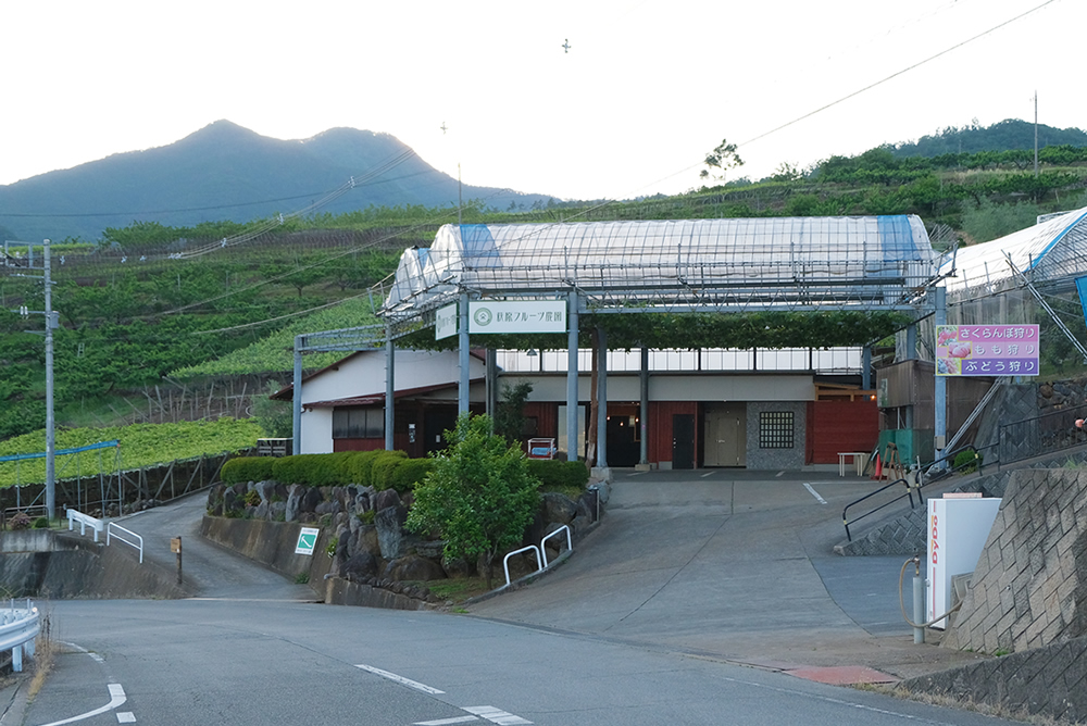 農園の自然を売店にも取り入れた、私たちらしいお店へのリノベーション。（萩原フルーツ農園）